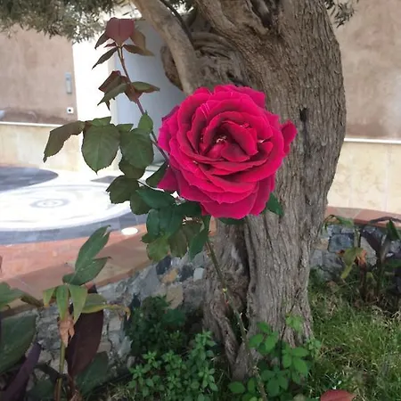 Medea Aparthotel Taormina